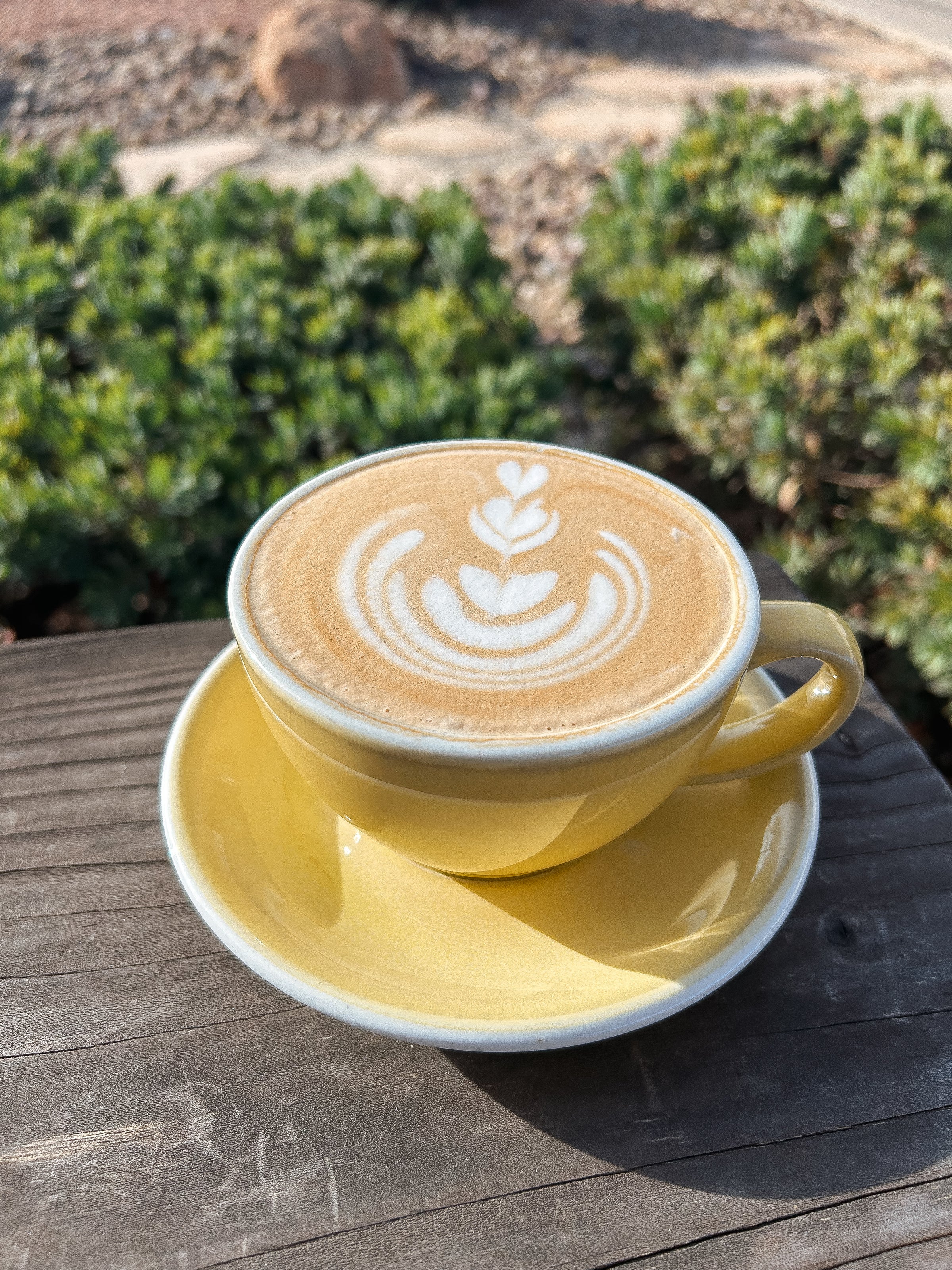 ※ Latte※ Latte | Tyne Coffee Co